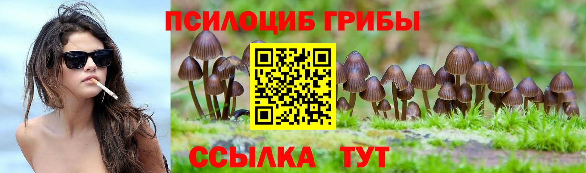 Галлюциногенные грибы GOLDEN TEACHER Таганрог